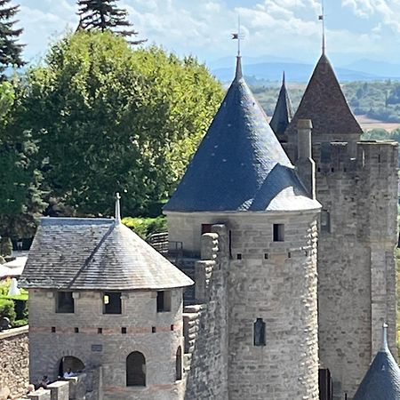 Appartement Tres Calme, Rdc, 800 M De La Cite Medievale Classee Au Patrimoine De L'Unesco Каркасон Екстериор снимка
