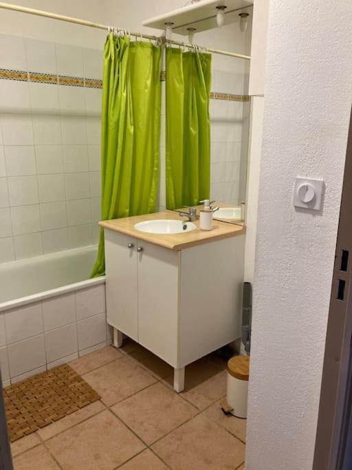 Appartement Tres Calme, Rdc, 800 M De La Cite Medievale Classee Au Patrimoine De L'Unesco Каркасон Екстериор снимка