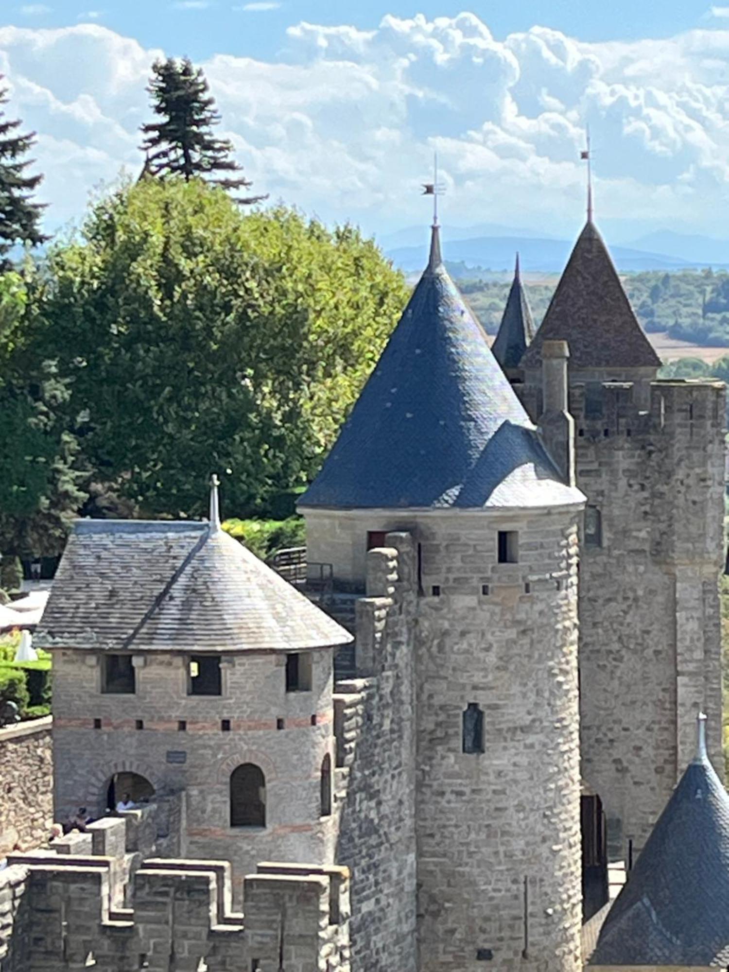 Appartement Tres Calme, Rdc, 800 M De La Cite Medievale Classee Au Patrimoine De L'Unesco Каркасон Екстериор снимка